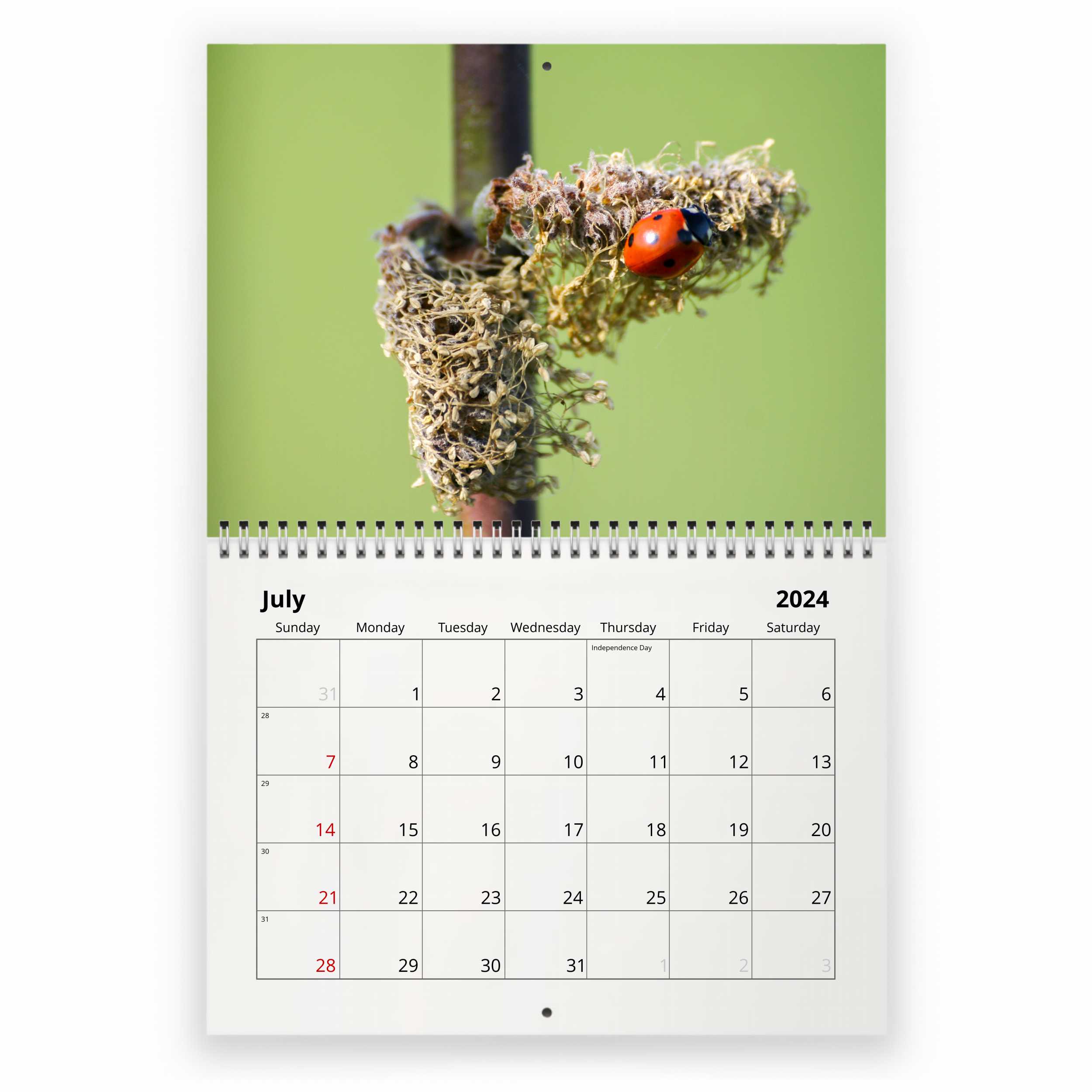 Miraculous: Tales of Ladybug and Cat Noir Wall Calendar 2024