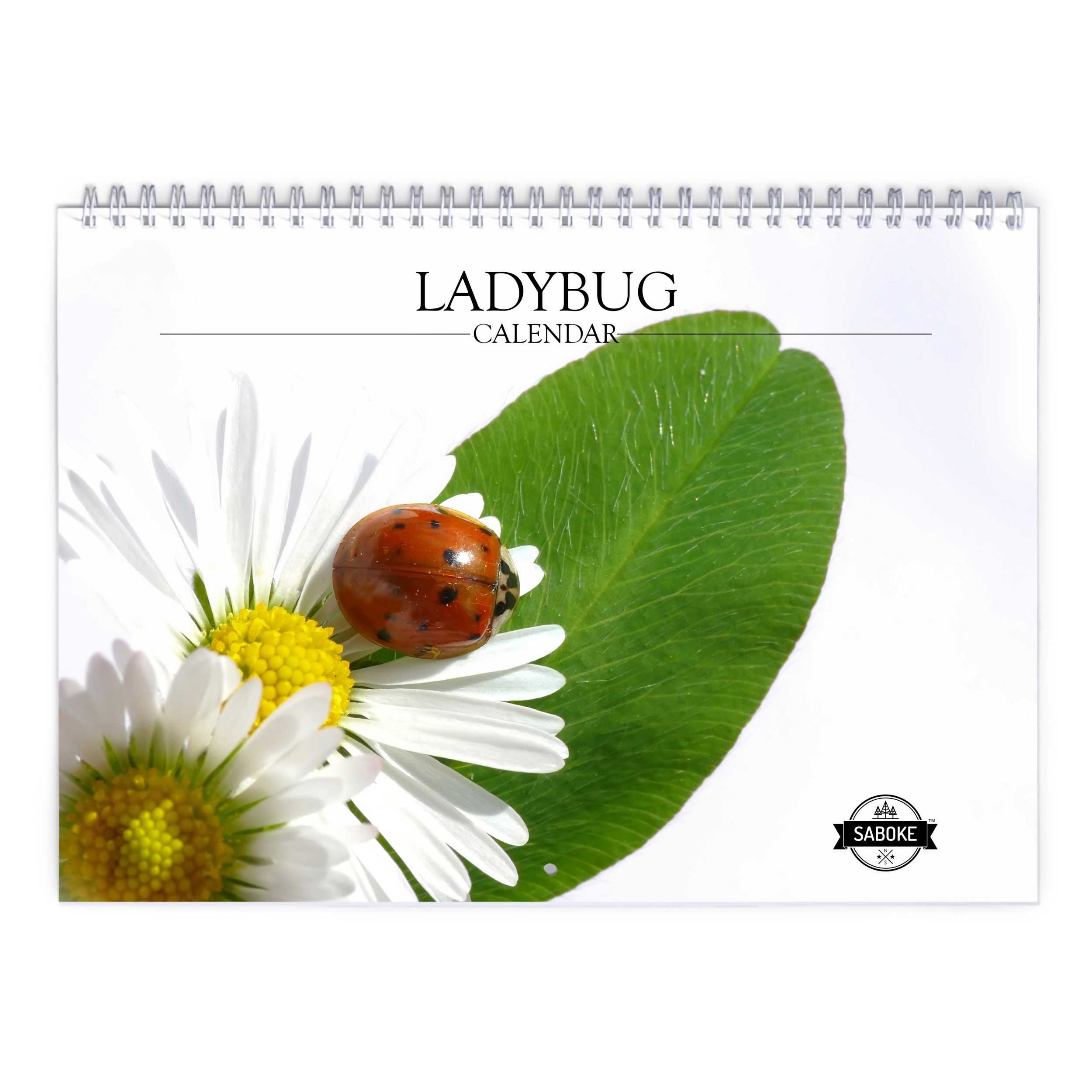 Ladybug 2025 Wall Calendar