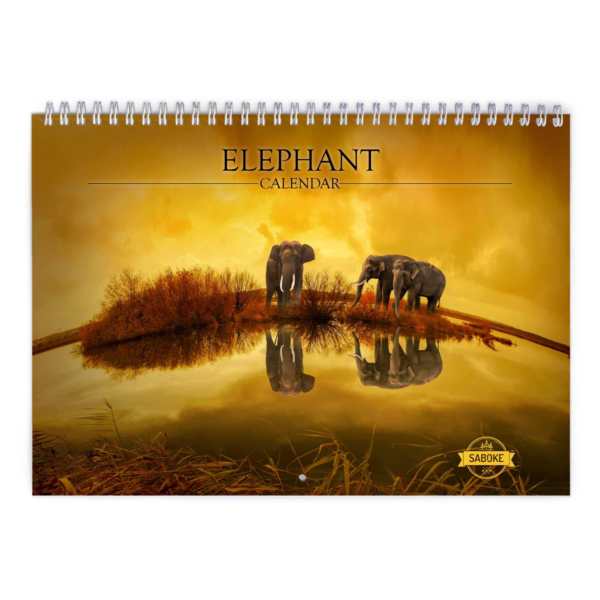 Elephant 2025 Wall Calendar   W24051 Cover 