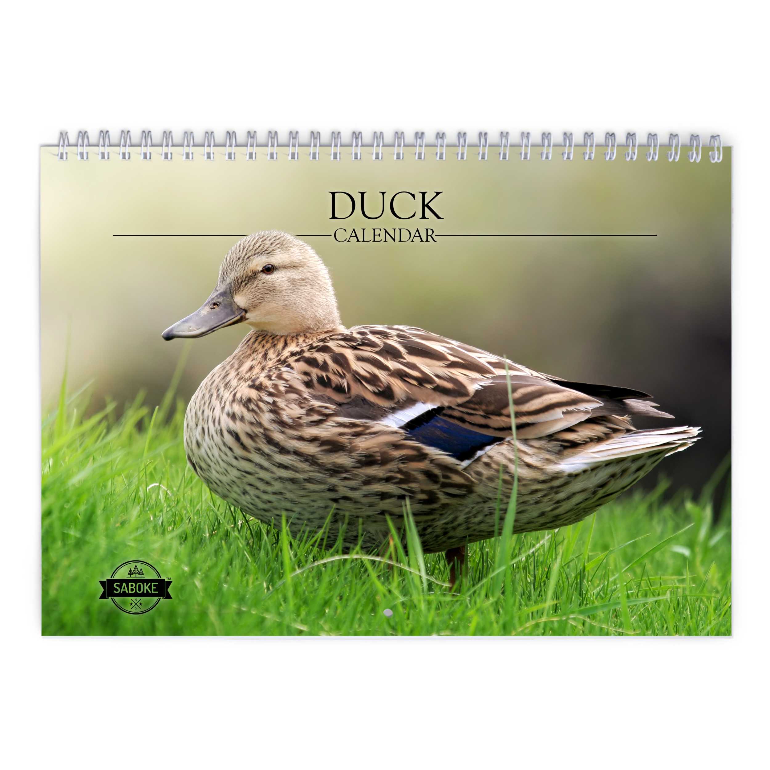 Duck 2025 Wall Calendar