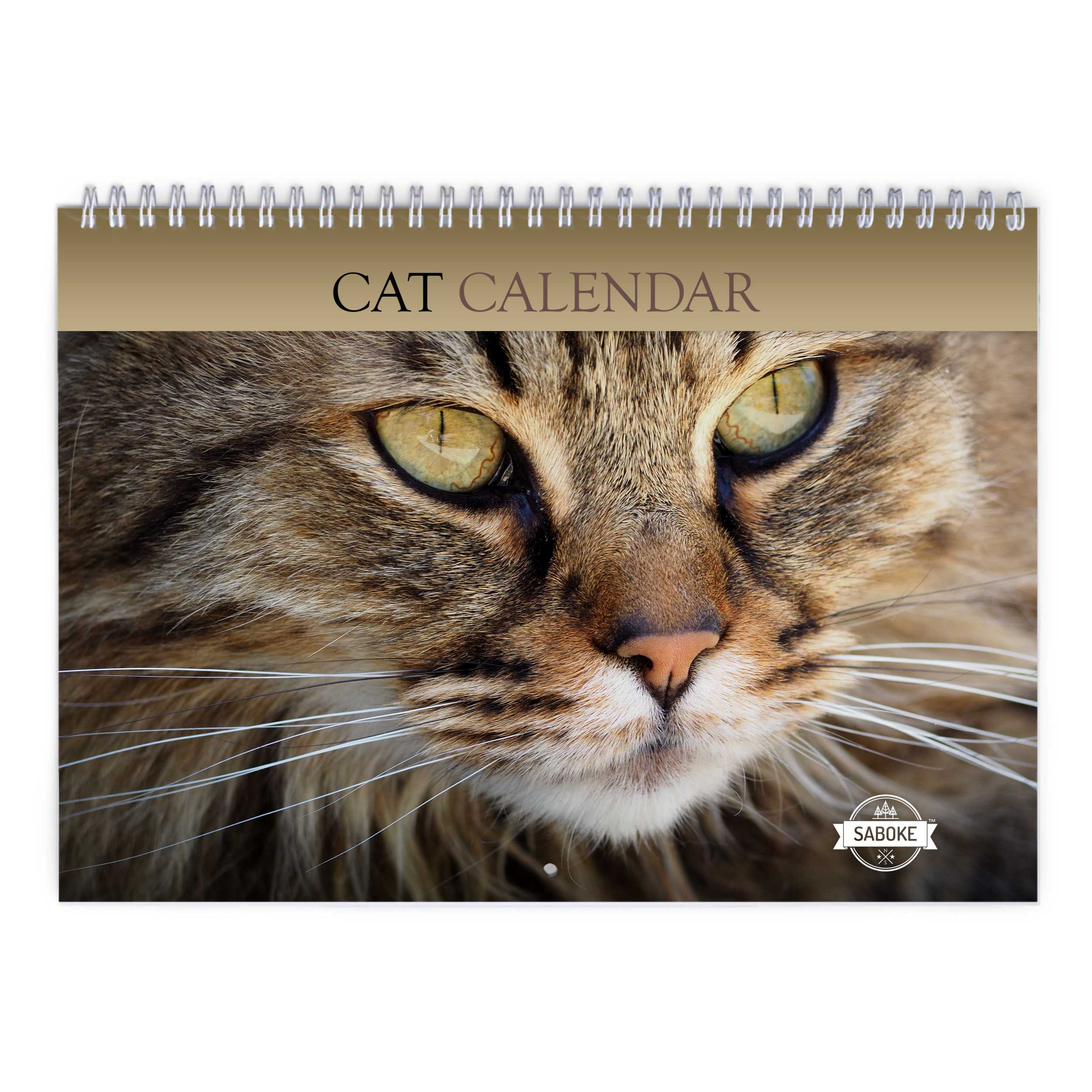 Cat 2024 Wall Calendar