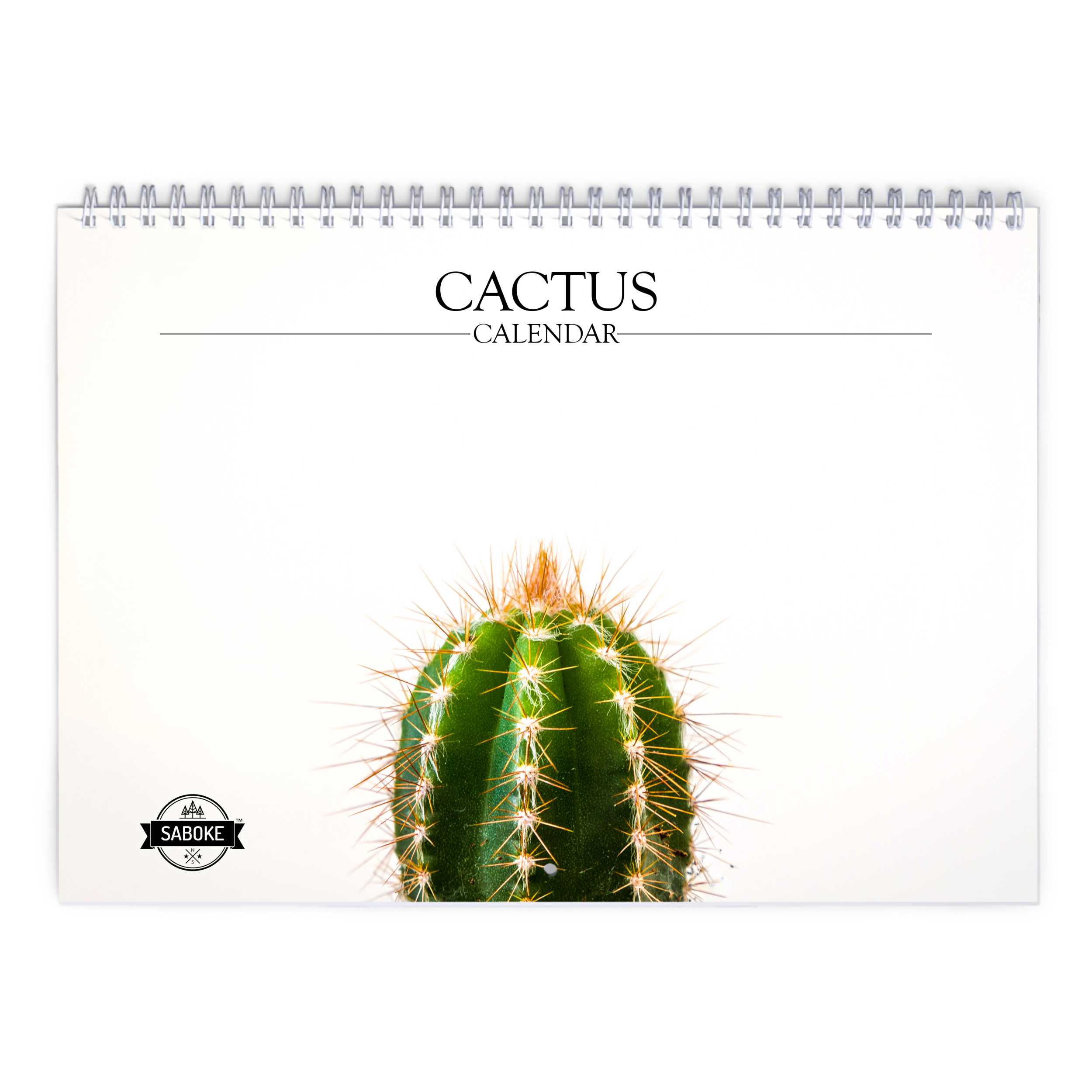 Cactus 2024 Wall Calendar   W24064 Cover 