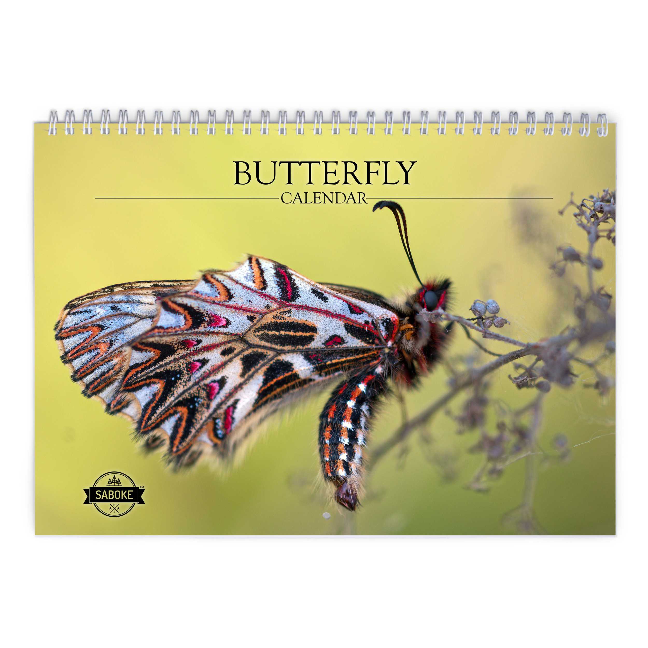 Butterfly 2025 Wall Calendar