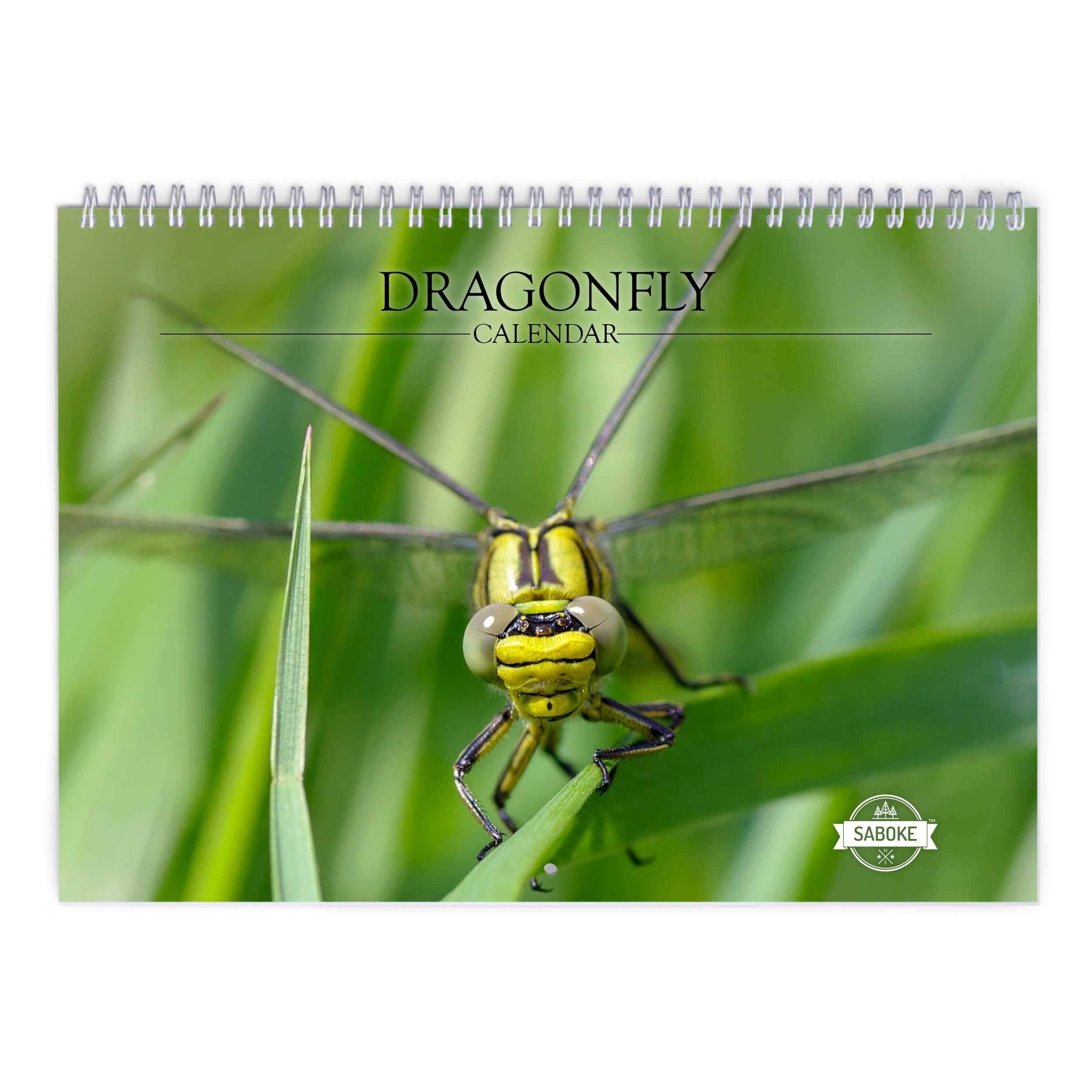 Dragonfly 2025 Wall Calendar   W24076 Cover 