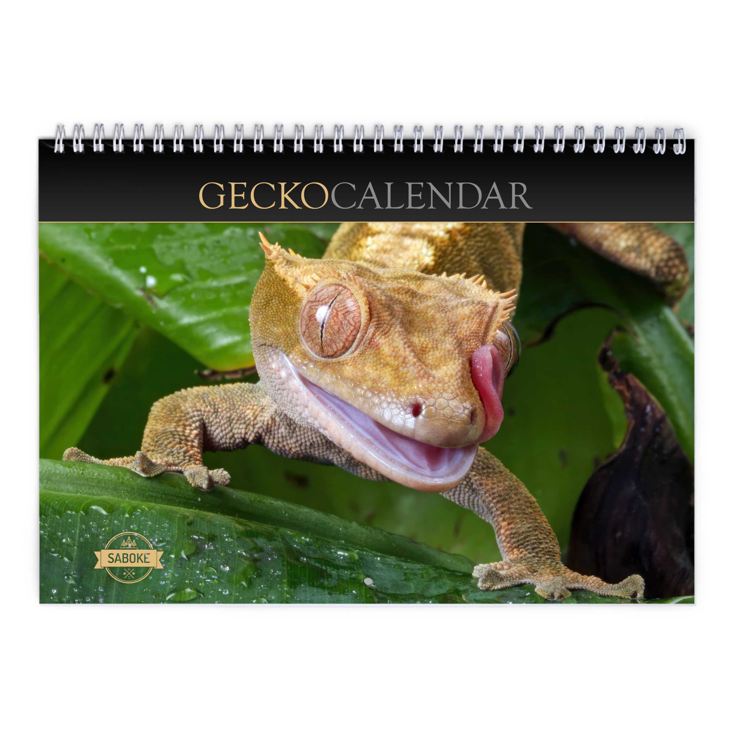 Gecko 2025 Wall Calendar