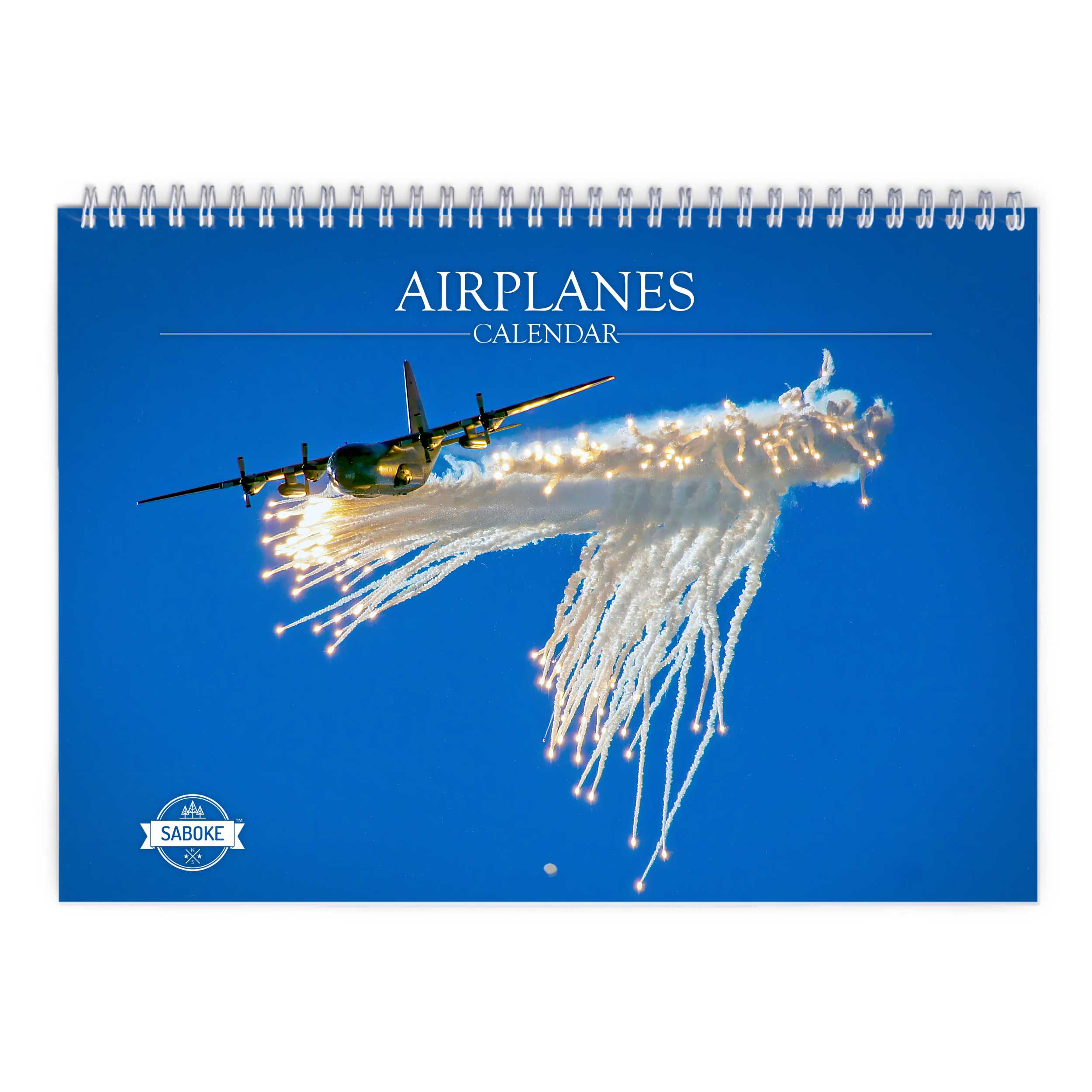 Airplanes 2025 Wall Calendar