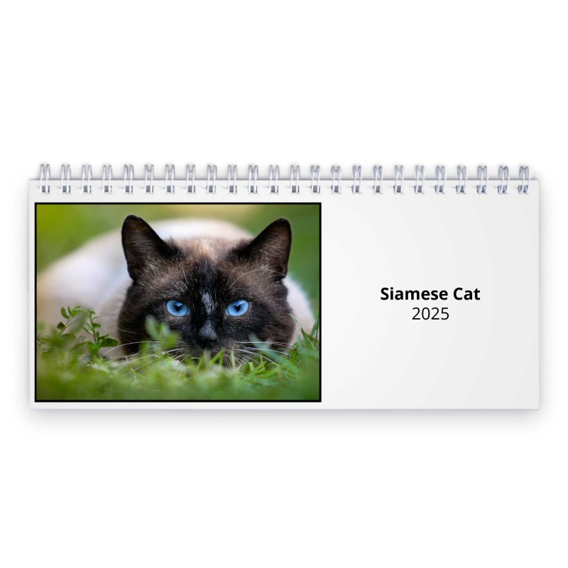 2024 Page a Day Desk Calendar - Bad Cat